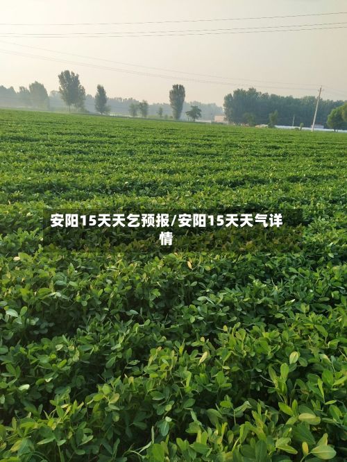 安阳15天天乞预报/安阳15天天气详情-第3张图片