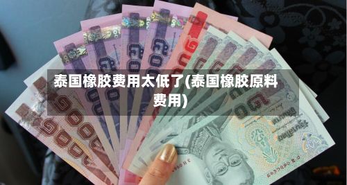 泰国橡胶费用太低了(泰国橡胶原料费用)