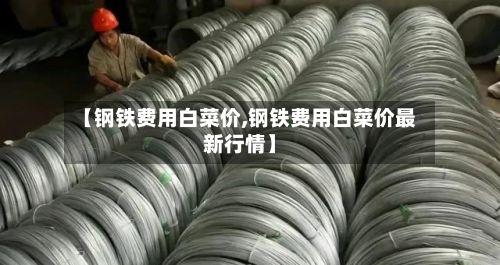 【钢铁费用白菜价,钢铁费用白菜价最新行情】
