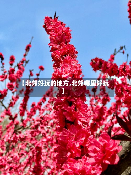 【北郊好玩的地方,北郊哪里好玩】-第2张图片