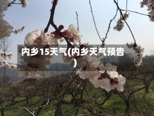 内乡15天气(内乡天气预告)