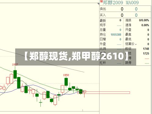 【郑醇现货,郑甲醇2610】