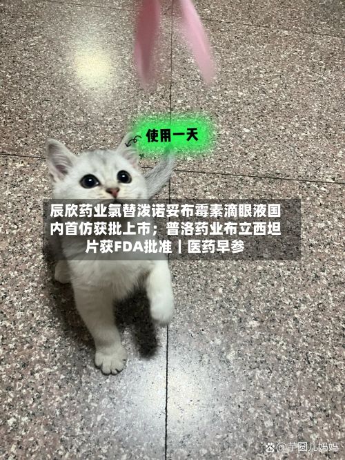 辰欣药业氯替泼诺妥布霉素滴眼液国内首仿获批上市；普洛药业布立西坦片获FDA批准｜医药早参
