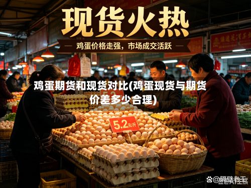 鸡蛋期货和现货对比(鸡蛋现货与期货价差多少合理)-第3张图片
