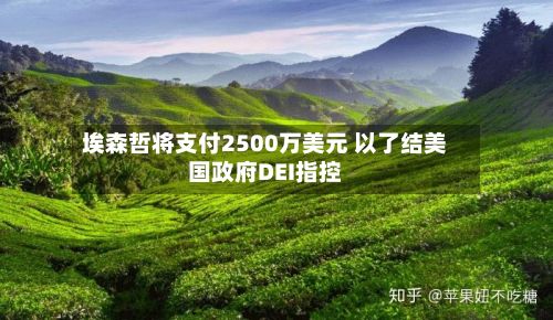 埃森哲将支付2500万美元 以了结美国政府DEI指控-第2张图片