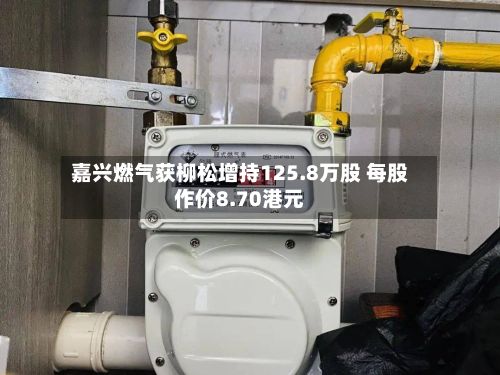 嘉兴燃气获柳松增持125.8万股 每股作价8.70港元-第2张图片