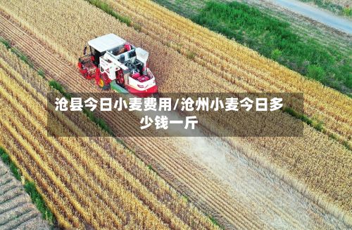 沧县今日小麦费用/沧州小麦今日多少钱一斤-第2张图片