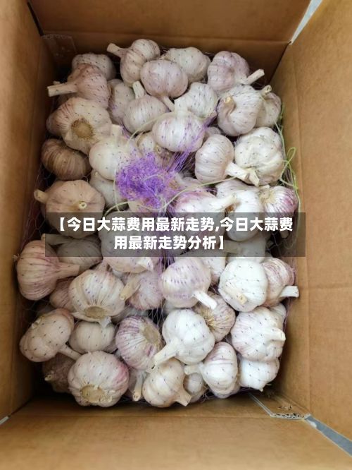 【今日大蒜费用最新走势,今日大蒜费用最新走势分析】-第2张图片