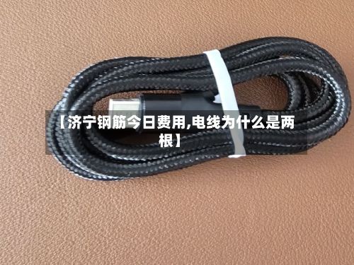 【济宁钢筋今日费用,电线为什么是两根】-第2张图片