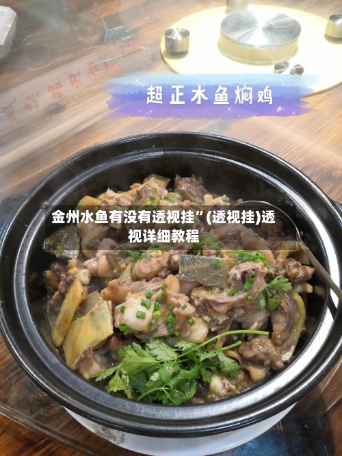 金州水鱼有没有透视挂”(透视挂)透视详细教程