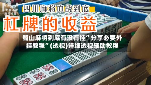 蜀山麻将到底有没有挂”分享必要外挂教程”(透视)详细透视辅助教程-第3张图片