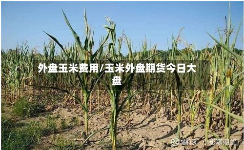外盘玉米费用/玉米外盘期货今日大盘