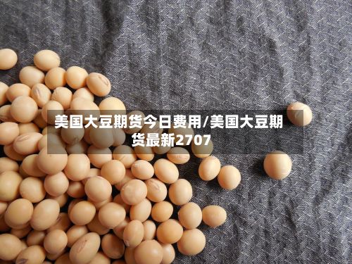 美国大豆期货今日费用/美国大豆期货最新2707-第2张图片