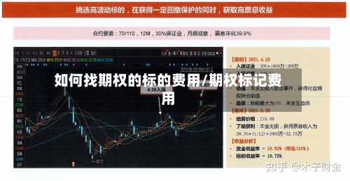 如何找期权的标的费用/期权标记费用