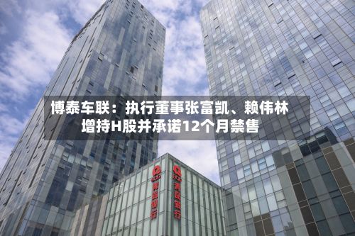 博泰车联：执行董事张富凯	、赖伟林增持H股并承诺12个月禁售-第2张图片