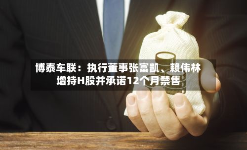 博泰车联：执行董事张富凯、赖伟林增持H股并承诺12个月禁售-第3张图片