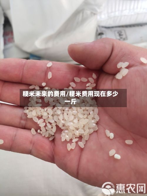 粳米未来的费用/粳米费用现在多少一斤