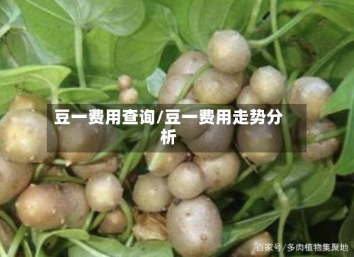 豆一费用查询/豆一费用走势分析-第3张图片
