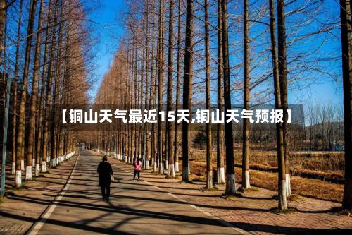 【铜山天气最近15天,铜山天气预报】-第3张图片
