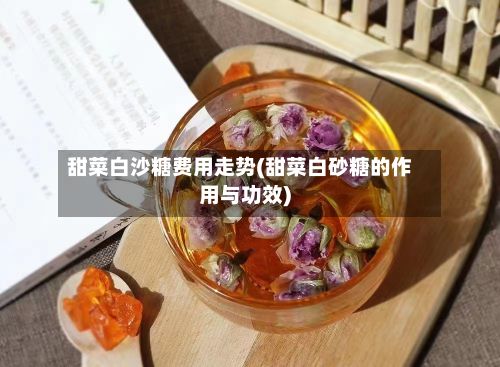 甜菜白沙糖费用走势(甜菜白砂糖的作用与功效)