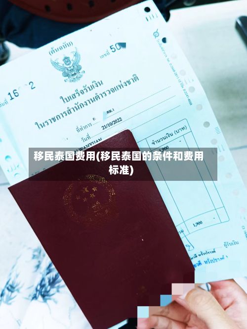 移民泰国费用(移民泰国的条件和费用标准)-第3张图片
