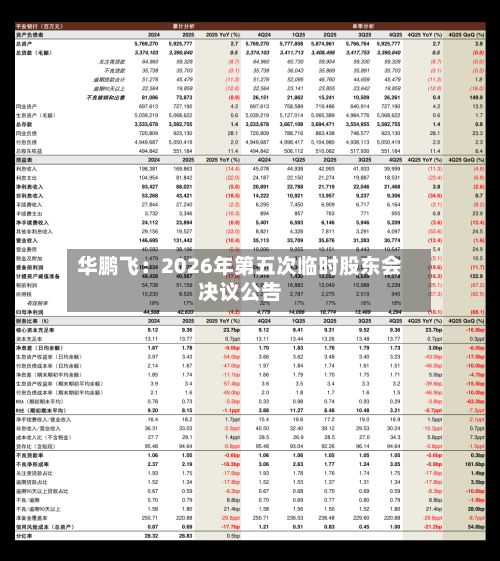 华鹏飞：2026年第五次临时股东会决议公告