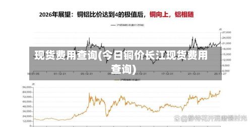 现货费用查询(今日铜价长江现货费用查询)