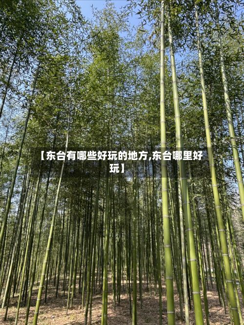 【东台有哪些好玩的地方,东台哪里好玩】