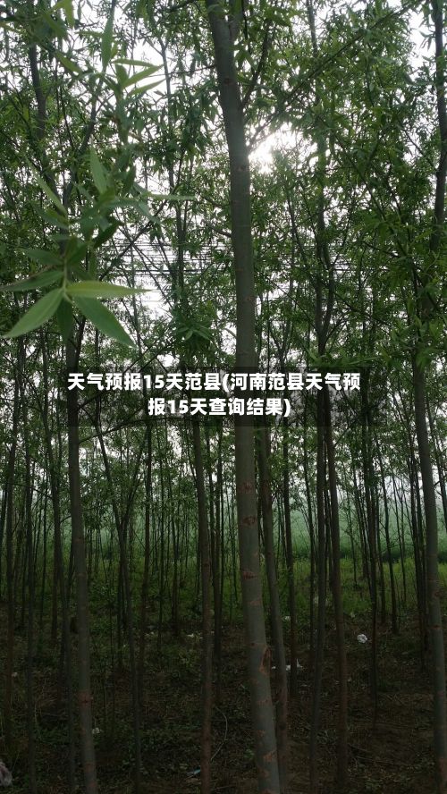 天气预报15天范县(河南范县天气预报15天查询结果)-第2张图片
