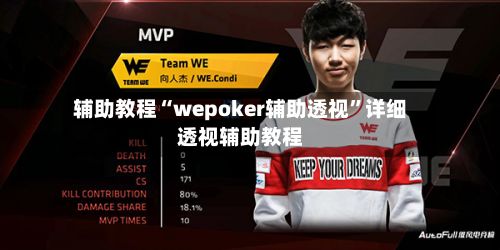 辅助教程“wepoker辅助透视”详细透视辅助教程-第2张图片