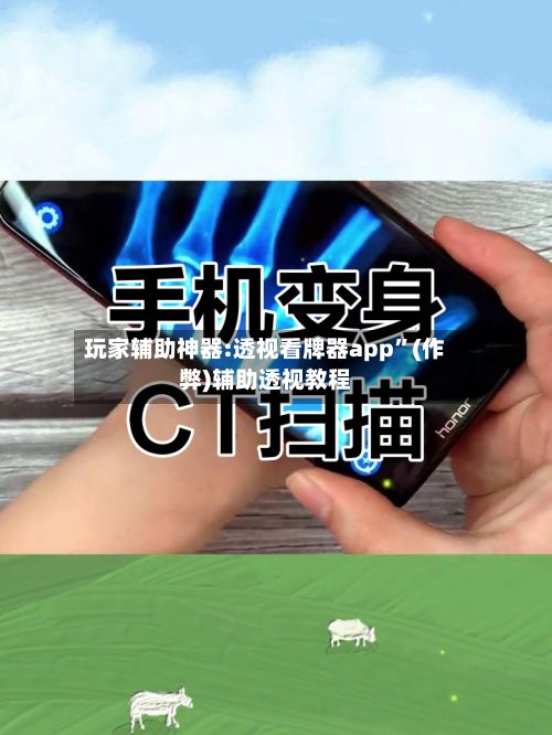 玩家辅助神器:透视看牌器app”(作弊)辅助透视教程-第2张图片