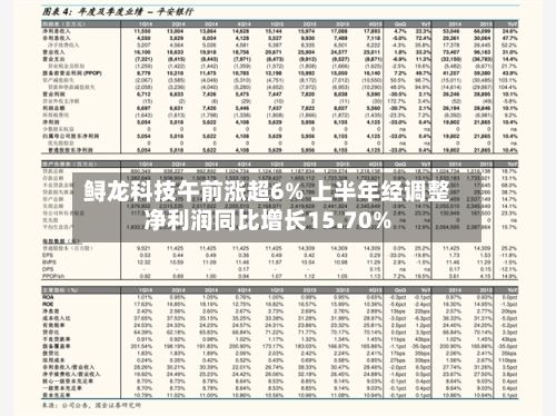 鲟龙科技午前涨超6% 上半年经调整净利润同比增长15.70%-第2张图片