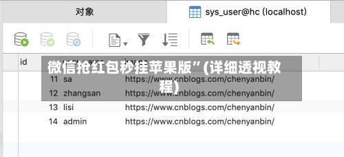 微信抢红包秒挂苹果版”(详细透视教程)-第3张图片
