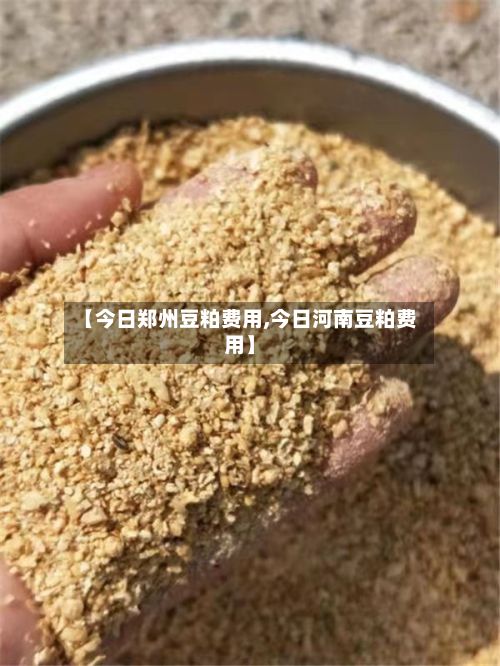 【今日郑州豆粕费用,今日河南豆粕费用】-第2张图片