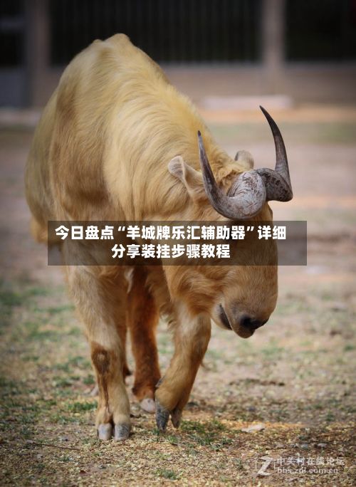 今日盘点“羊城牌乐汇辅助器”详细分享装挂步骤教程-第2张图片