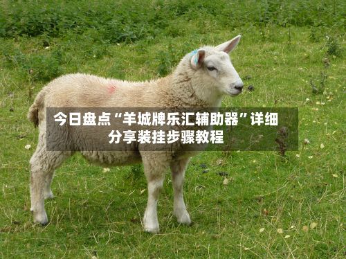 今日盘点“羊城牌乐汇辅助器	”详细分享装挂步骤教程-第3张图片