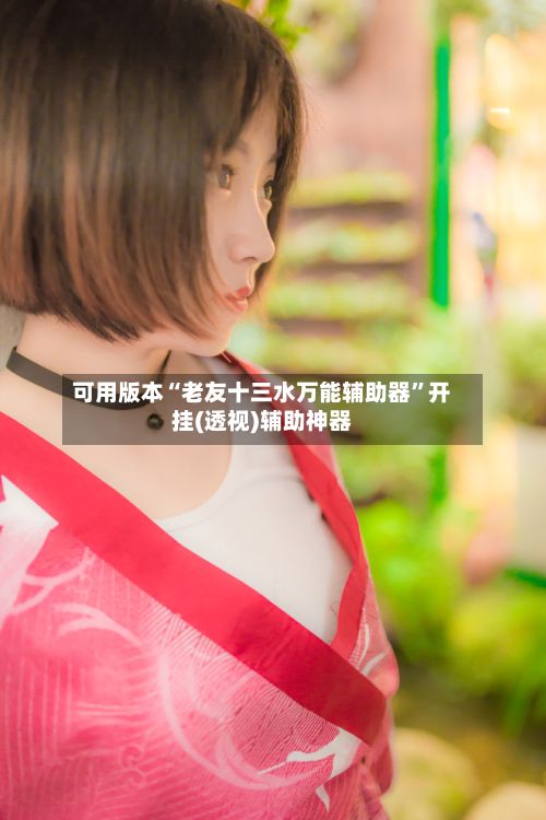 可用版本“老友十三水万能辅助器	”开挂(透视)辅助神器-第3张图片