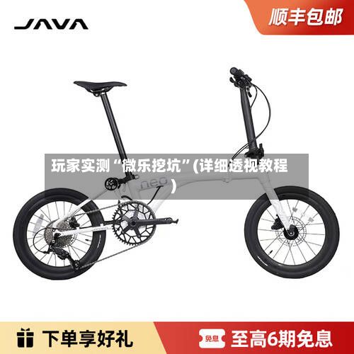 玩家实测“微乐挖坑”(详细透视教程)-第2张图片