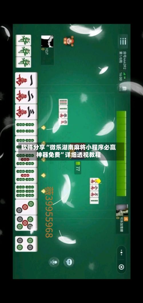 软件分享“微乐湖南麻将小程序必赢神器免费	”详细透视教程-第2张图片