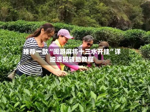 推荐一款“闽游麻将十三水开挂	”详细透视辅助教程-第3张图片