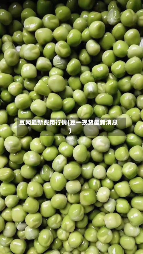 豆网最新费用行情(豆一现货最新消息)