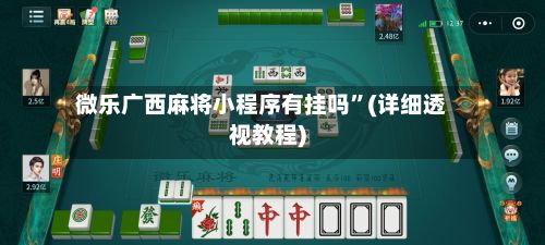 微乐广西麻将小程序有挂吗	”(详细透视教程)-第3张图片
