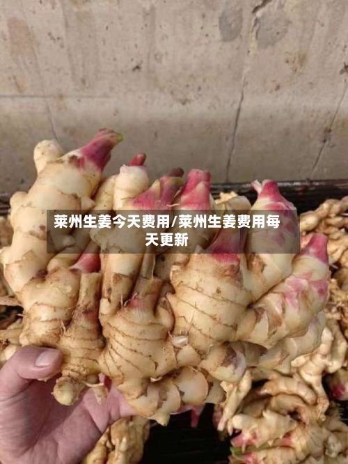 莱州生姜今天费用/莱州生姜费用每天更新