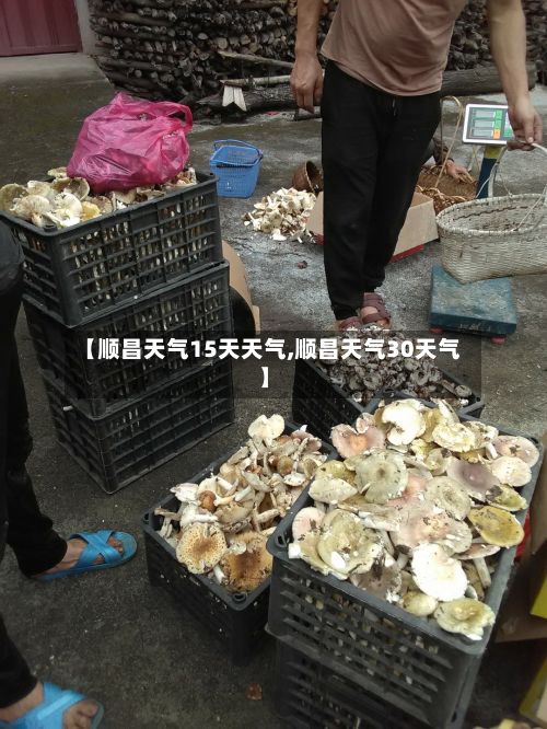 【顺昌天气15天天气,顺昌天气30天气】-第3张图片