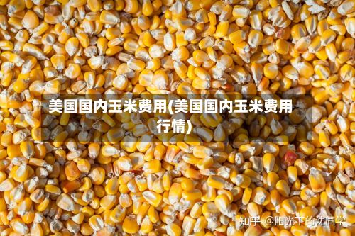 美国国内玉米费用(美国国内玉米费用行情)-第2张图片
