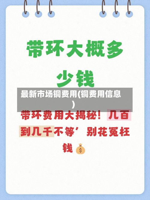 最新市场铜费用(铜费用信息)-第2张图片
