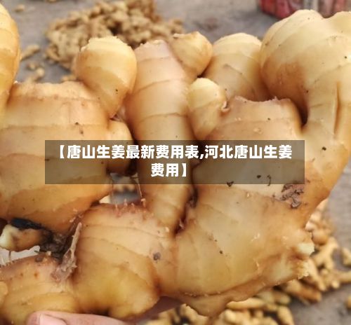 【唐山生姜最新费用表,河北唐山生姜费用】