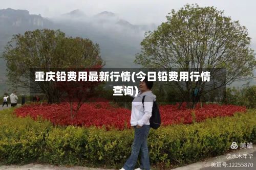 重庆铅费用最新行情(今日铅费用行情查询)-第3张图片