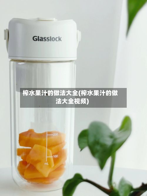 榨水果汁的做法大全(榨水果汁的做法大全视频)-第2张图片