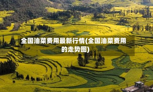 全国油菜费用最新行情(全国油菜费用的走势图)-第3张图片